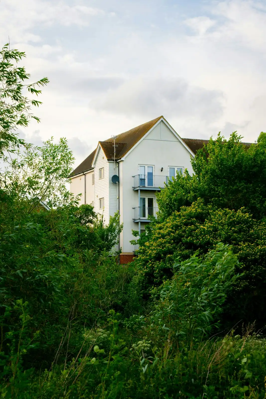 An overgrown garden beside a home