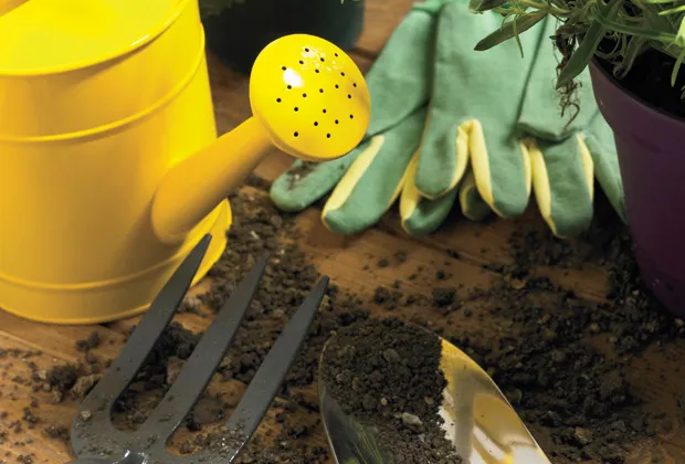 Gardening