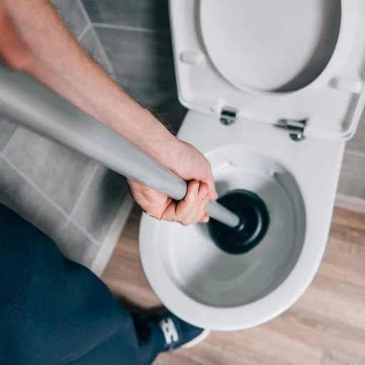 blocked toilet long handled plunger